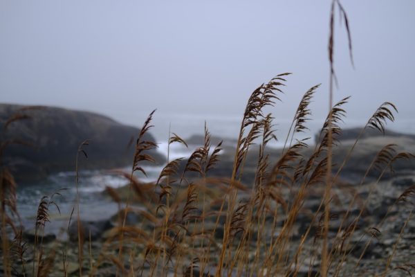 Cliff walk and “cottages”